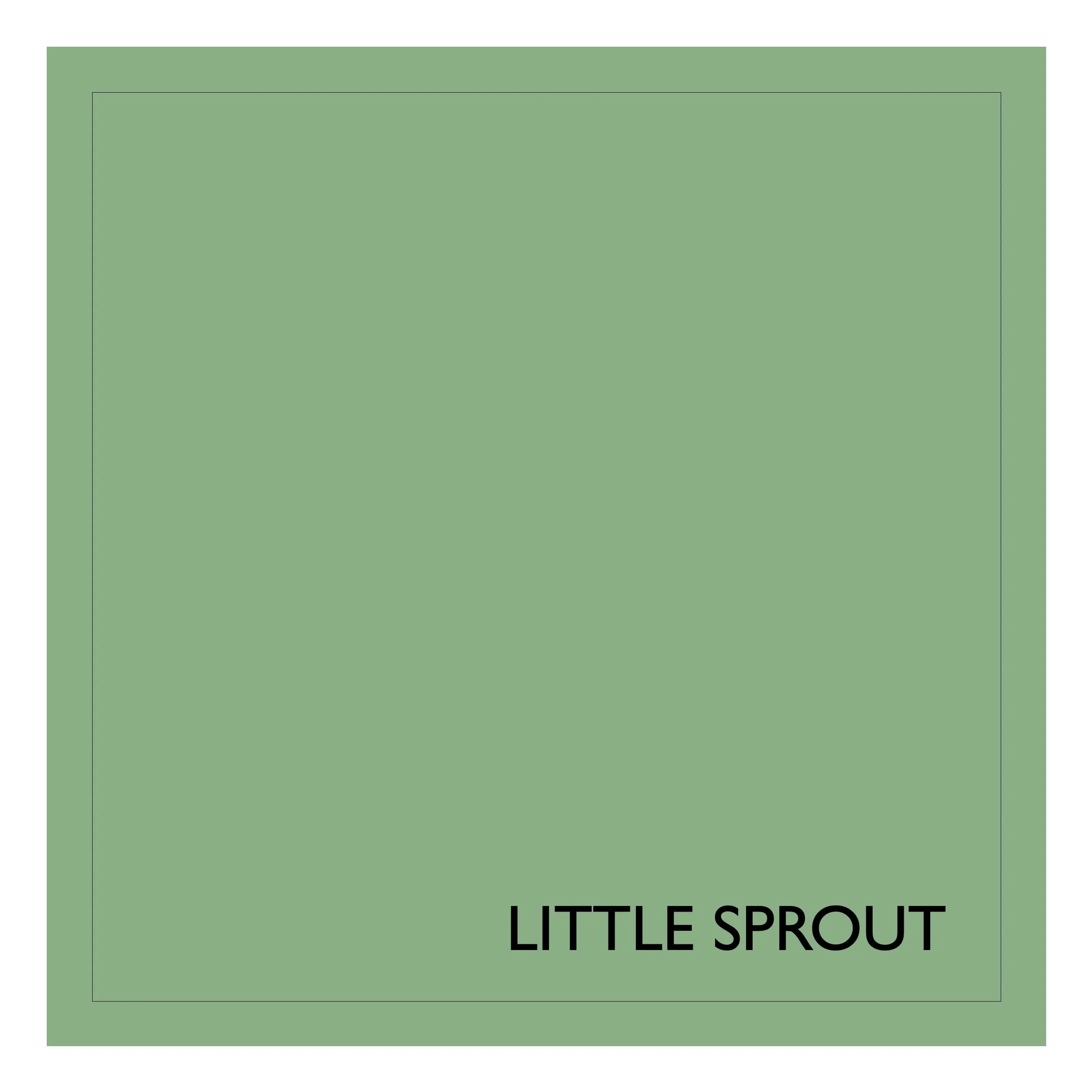 Little Sprout 5 Litre Large Earthborn Claypaint Tin