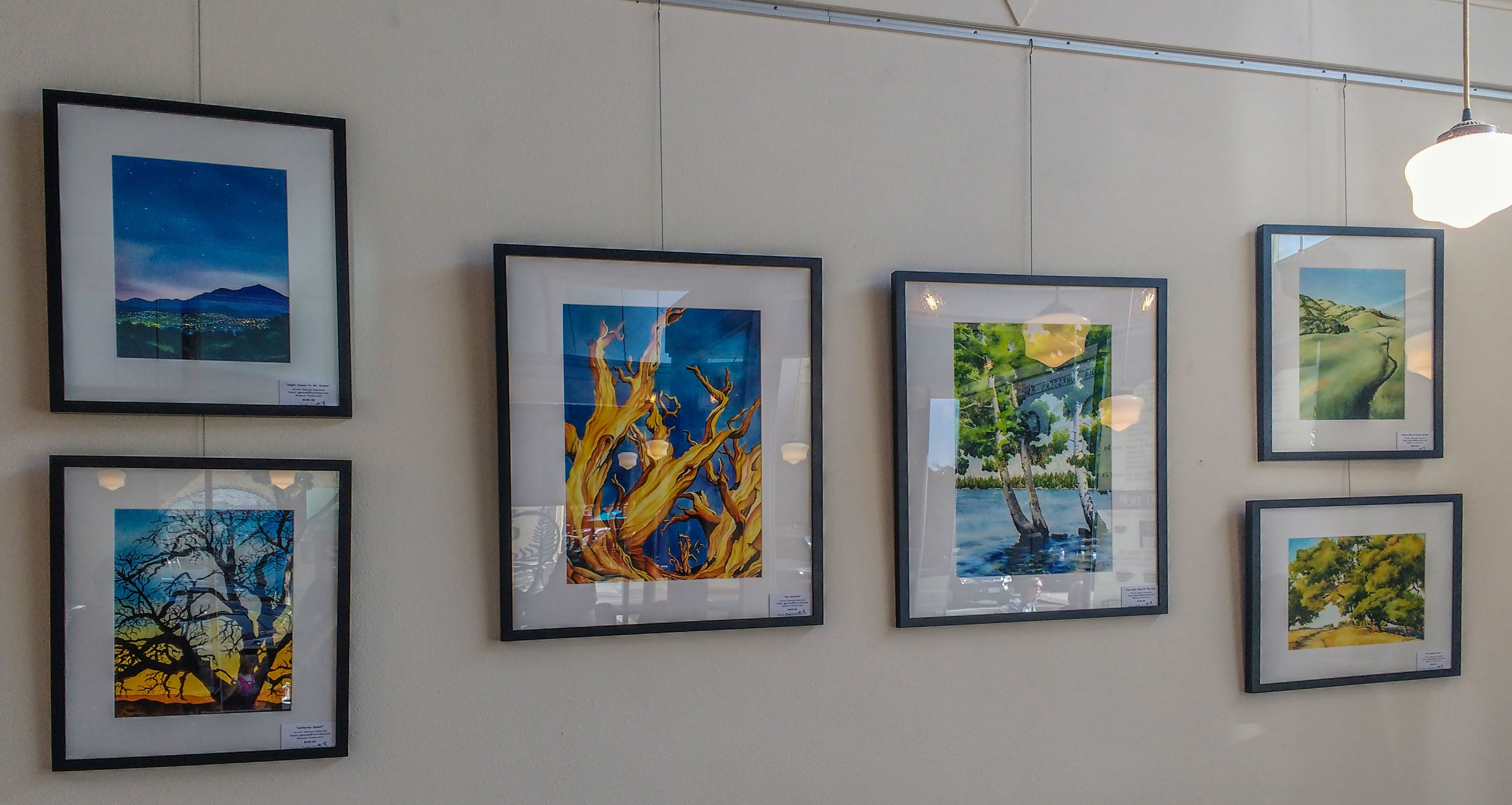 Glenyse Henschel's Work at Espresso Rosetta