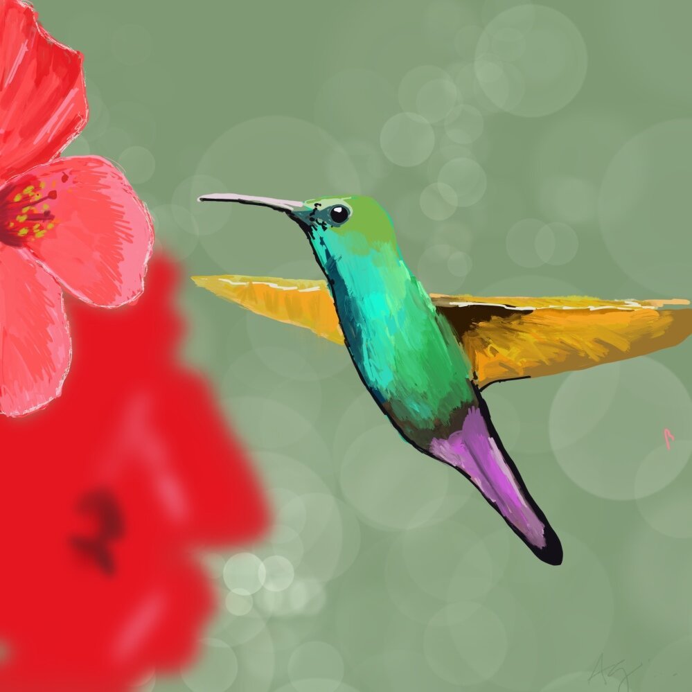 AmyGreenberg_hummingbird_w.jpg