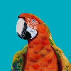 AmyGreenberg_parrot.jpg