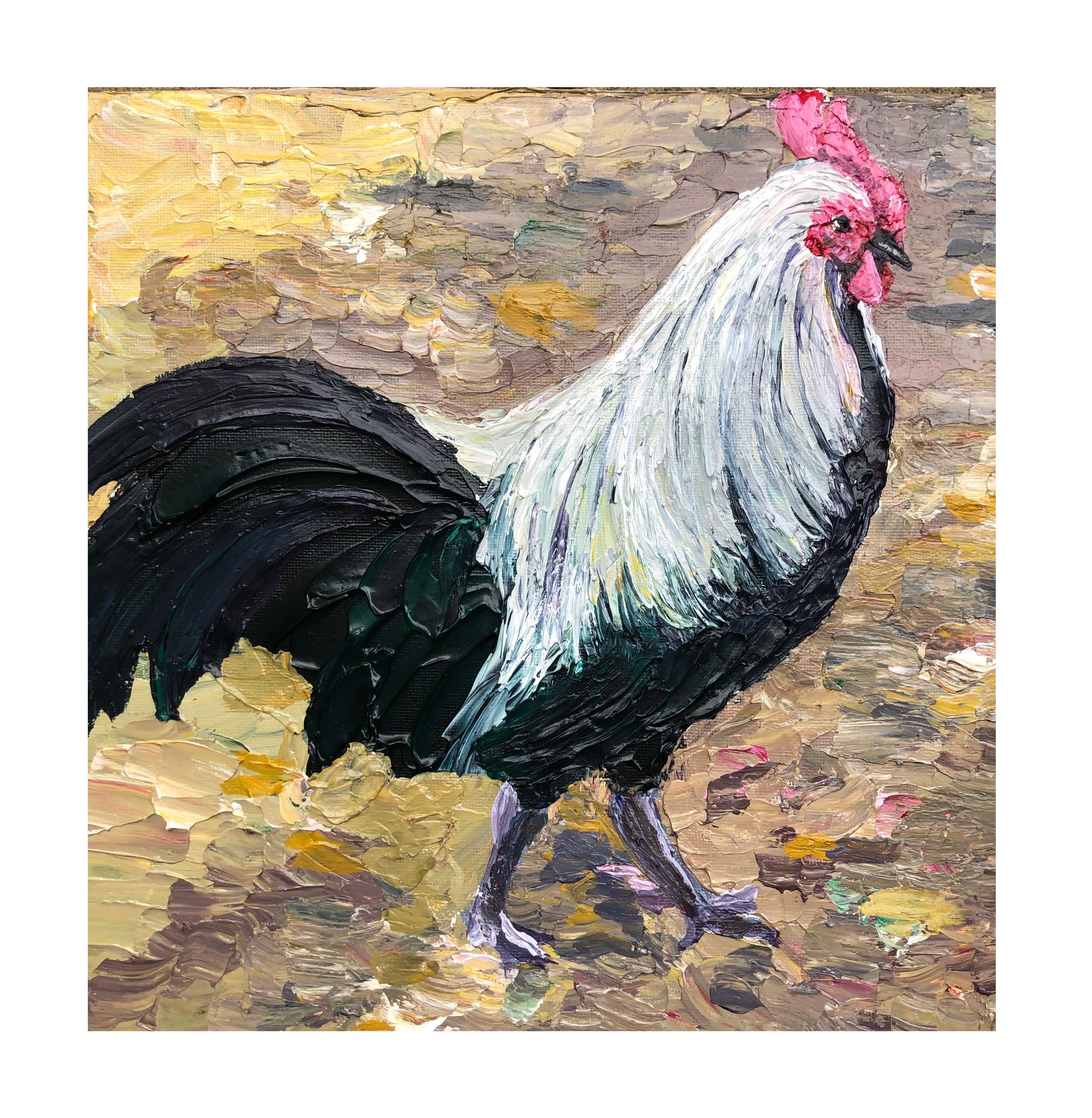 rooster.jpg