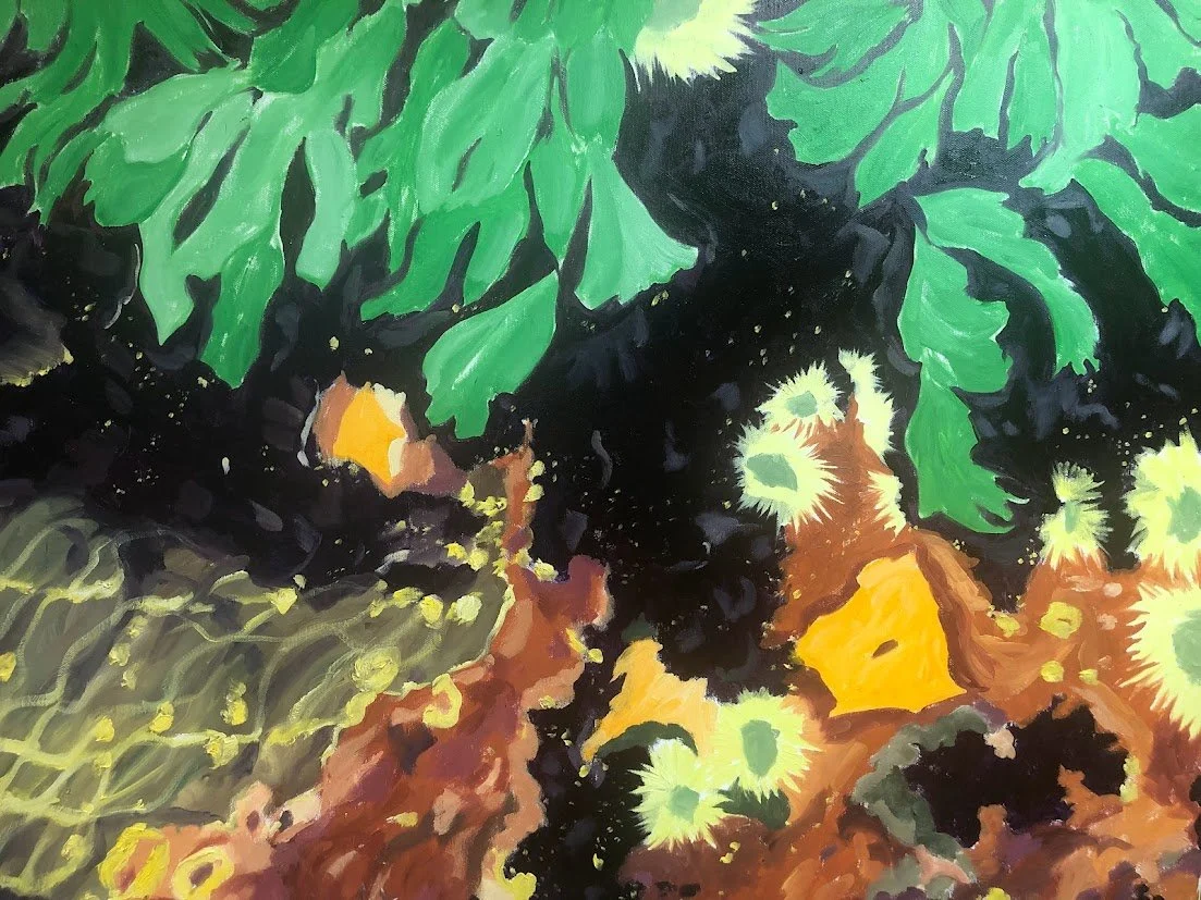 Olson_Tidepools.jpg