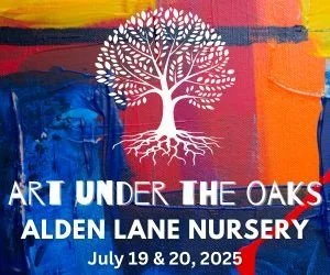 Art Under the Oaks
