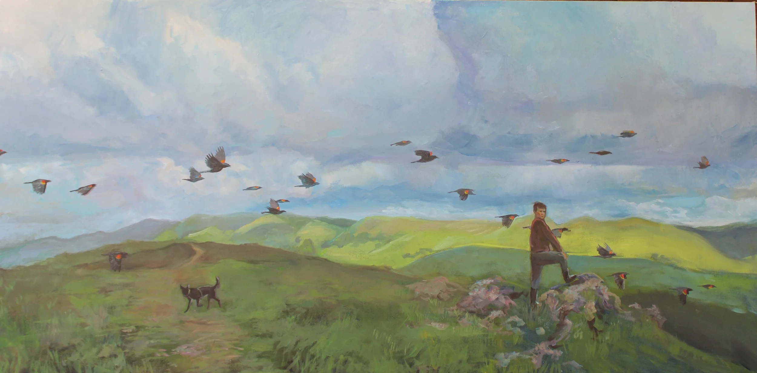 Redwing_Blackbird.jpg
