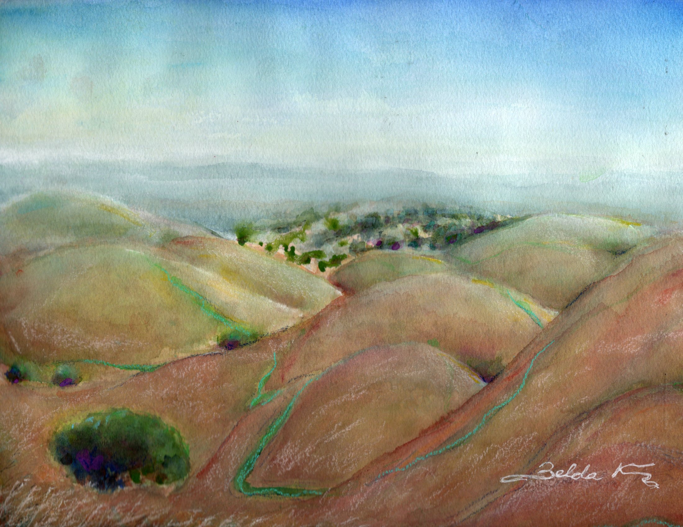 Hills Sensee Air.jpg