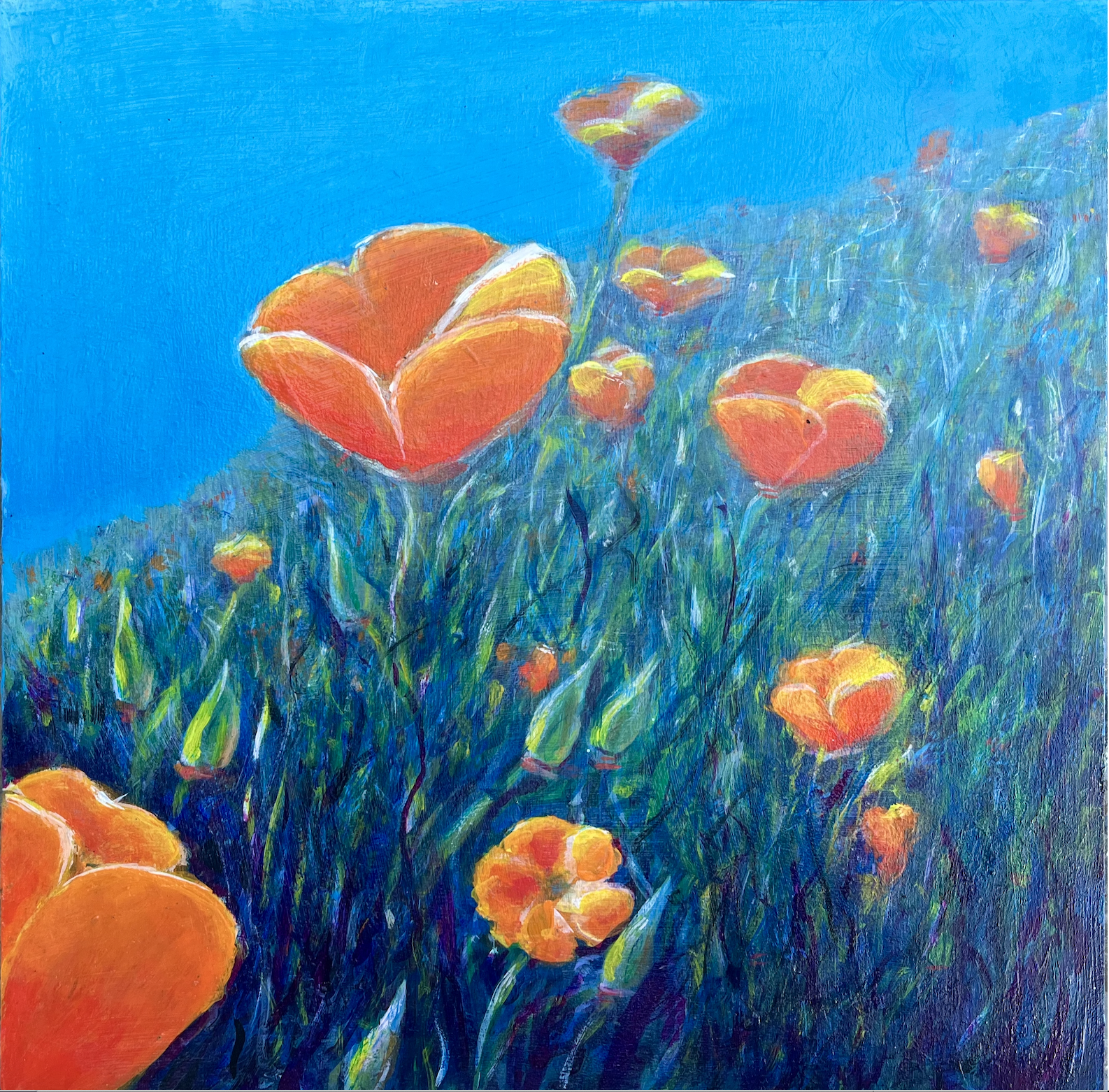 ZeldaK_Poppies-by-the-Bay_12x12.png