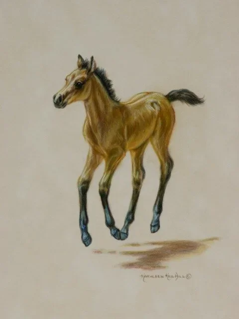 Kathleen Hill (Copy)