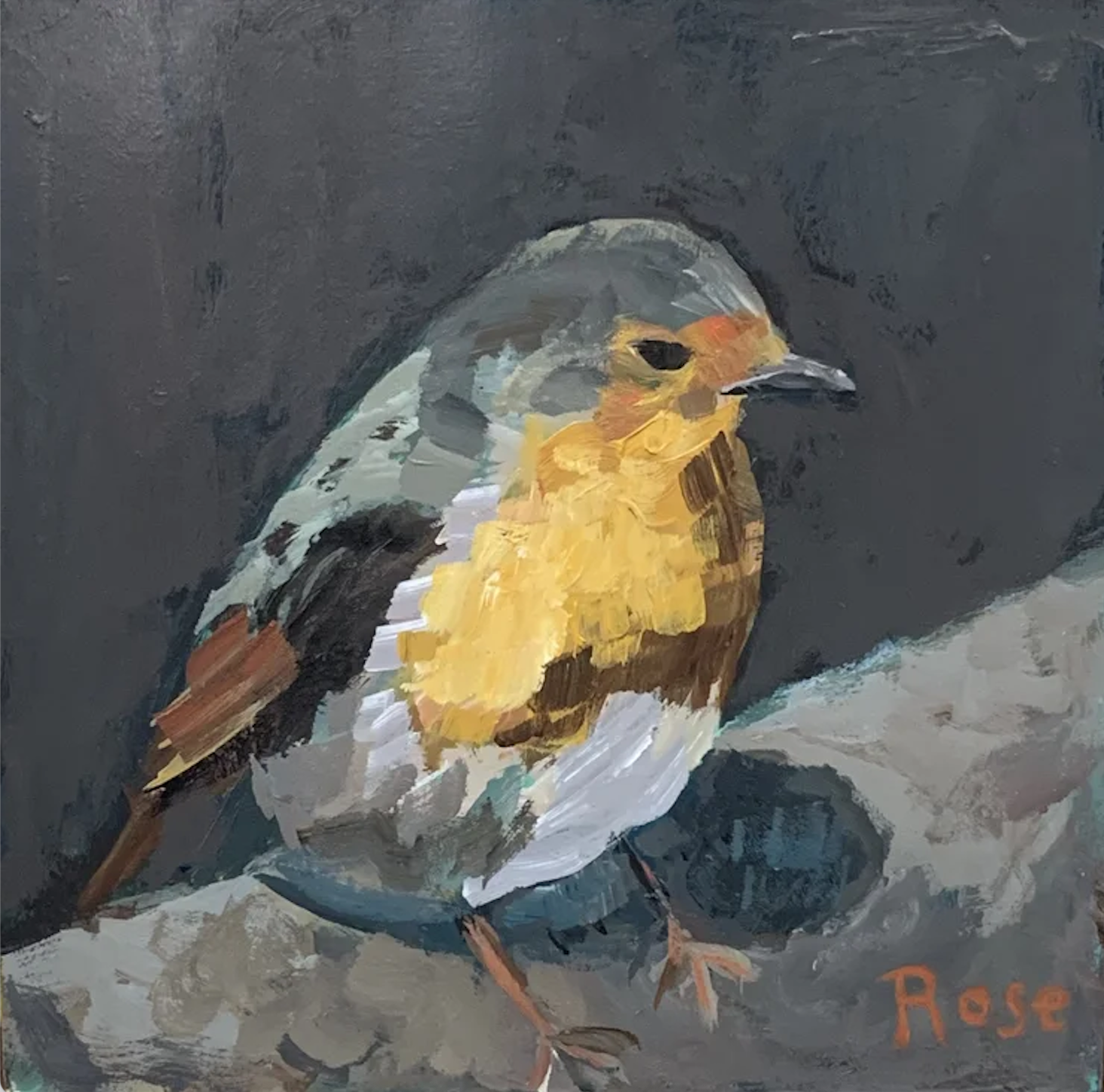 Jennifer Rose Hurley (Copy)