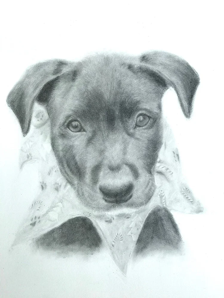 Ashley Whiting (Copy)