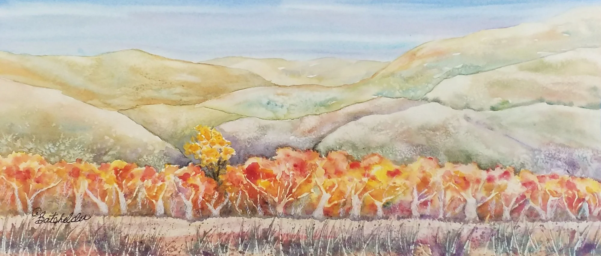 Batchelder_Sycamore Bold.jpg