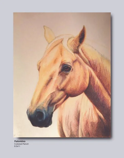 PortfolioPgCPencilPalomino.jpeg