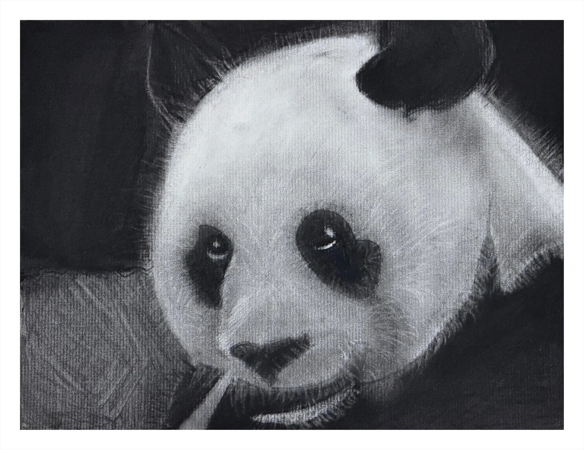 Ari Yoo_missing_fu_bao.jpg