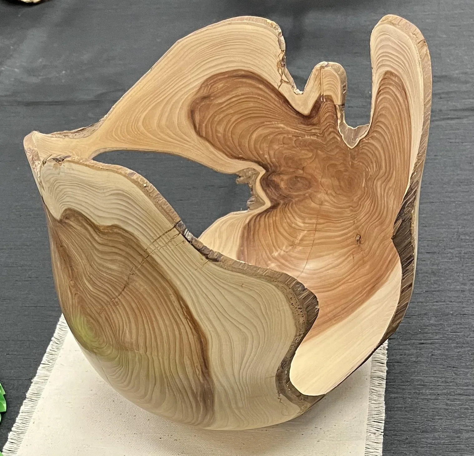 GoosmanDavid_Red Cedar.jpg