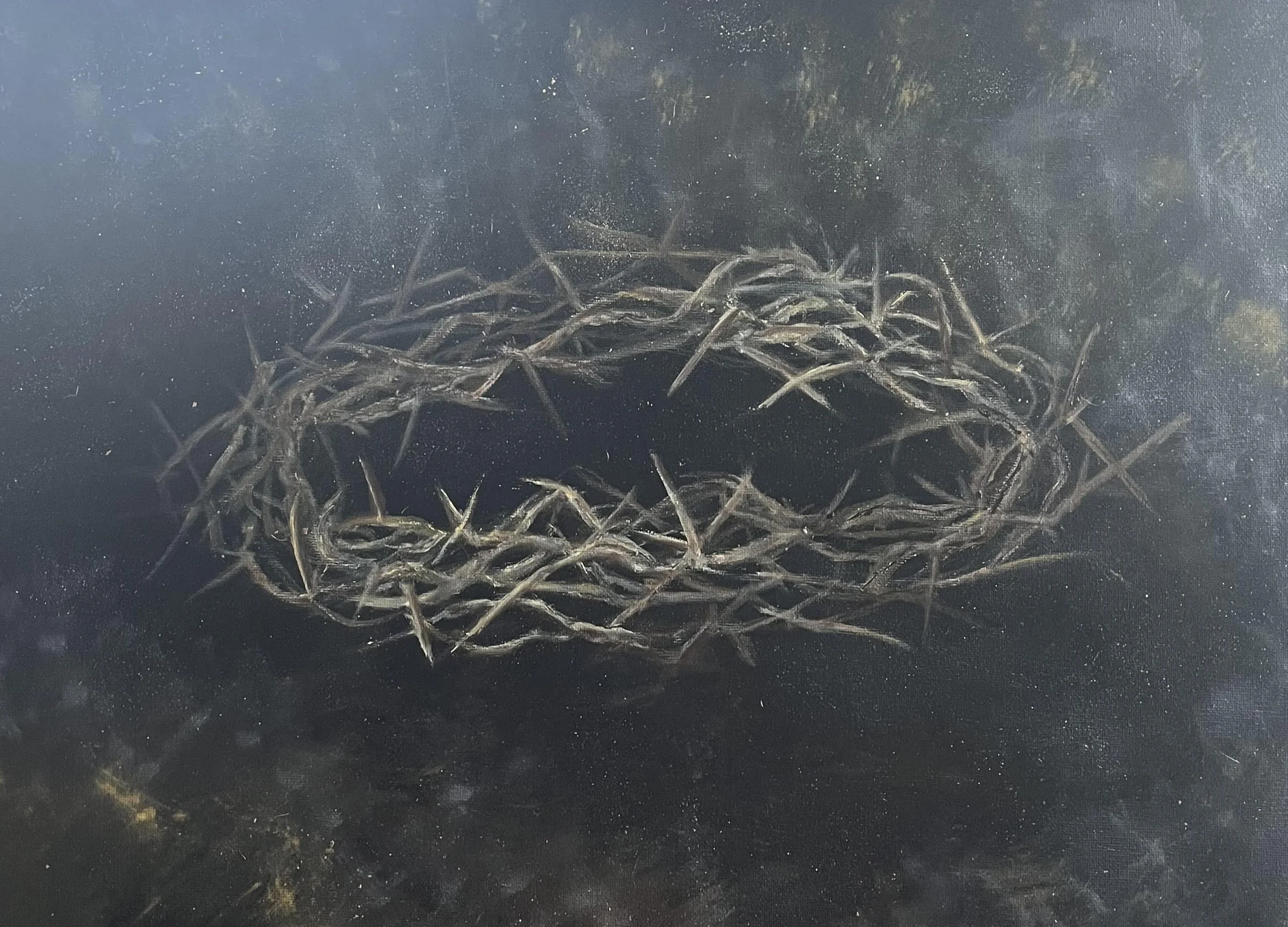 crown of thorns1.jpg