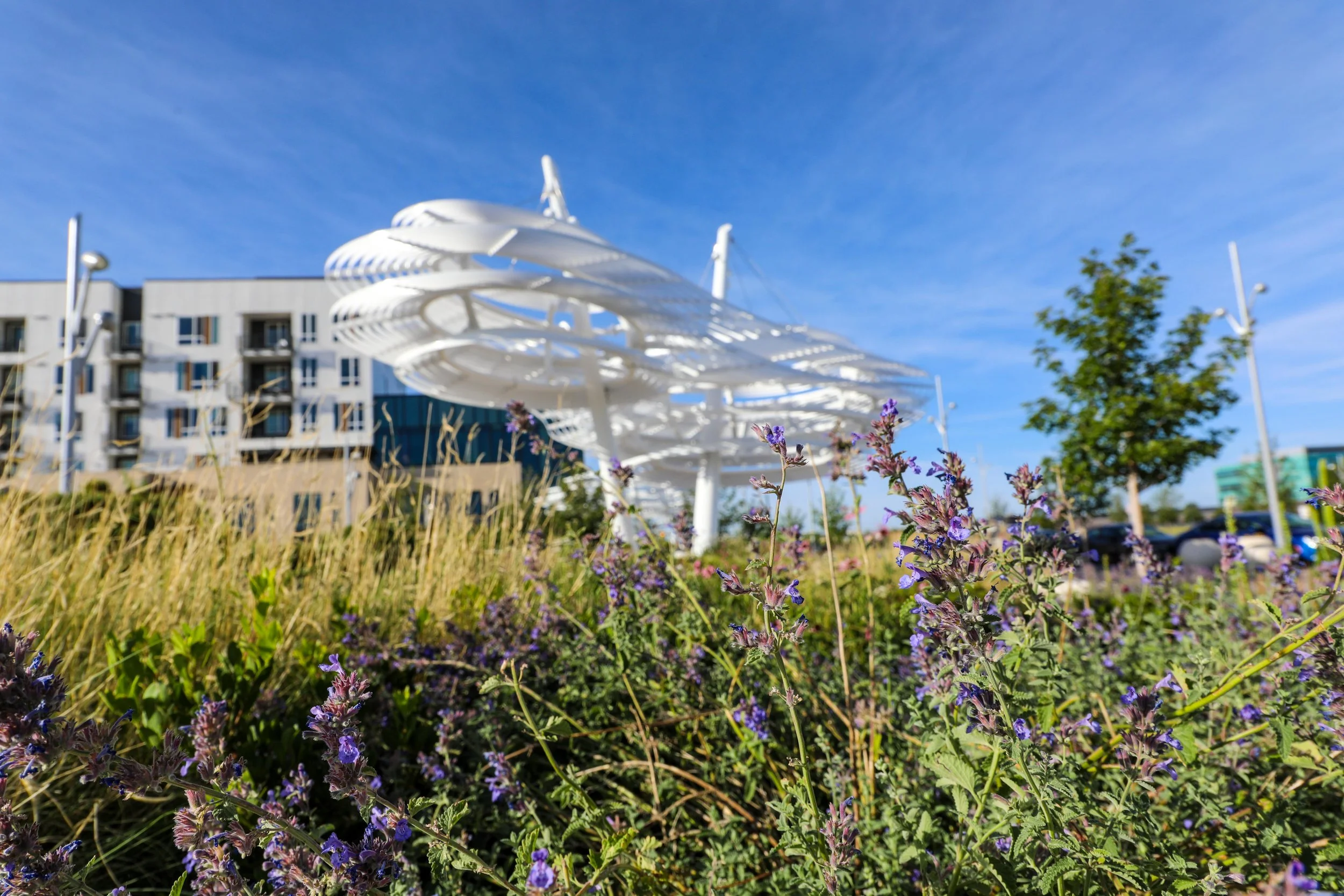An outdoor scene with purple flowers in the foreground, a modern white architectural structure with curved layers in the middle ground, and a multi-story building with balconies and windows in the background against a blue sky.