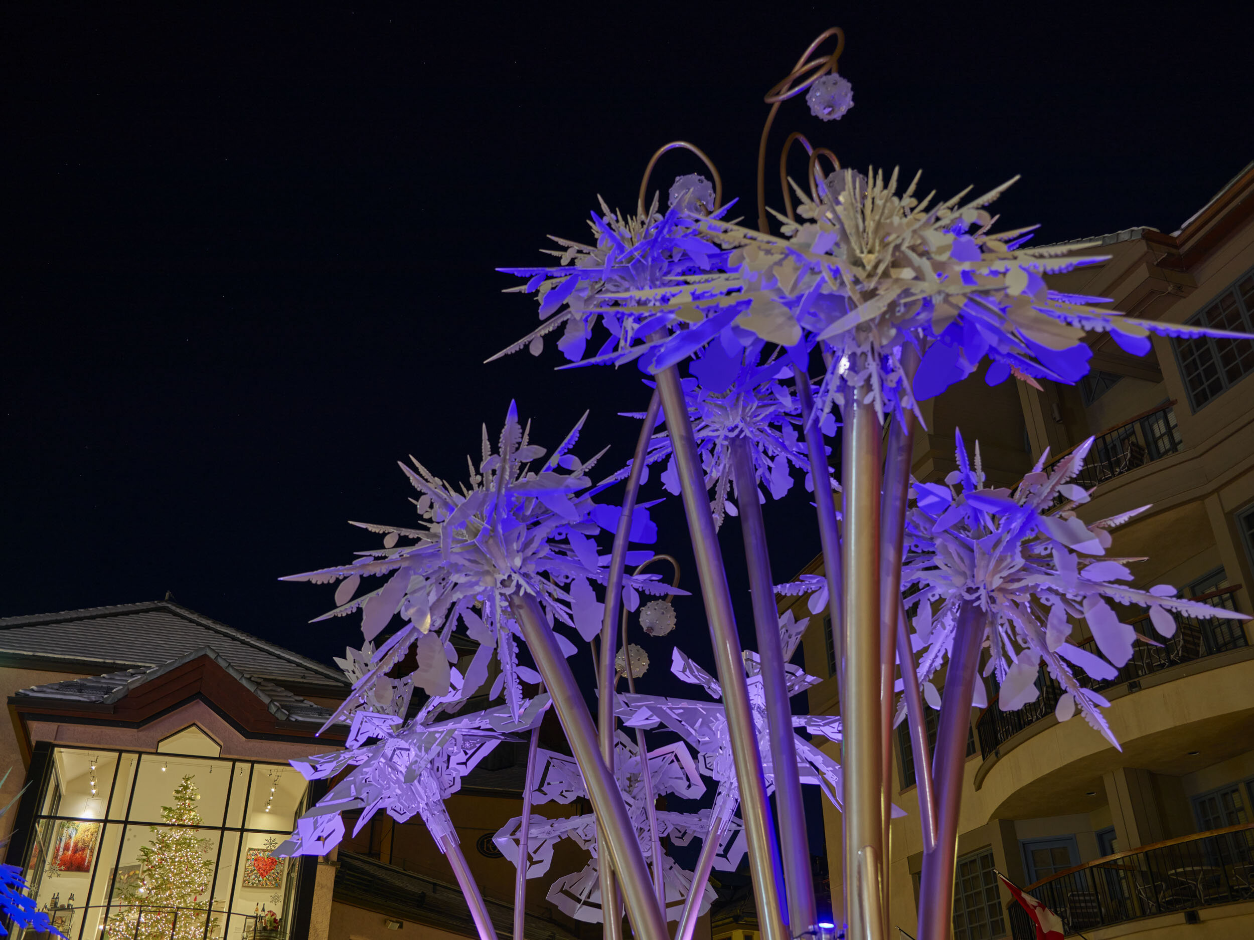   Frost Flowers  Image Courtesy of Beaver Creek Resorts 