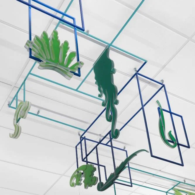 Jeanne Quinn | Hanging Garden