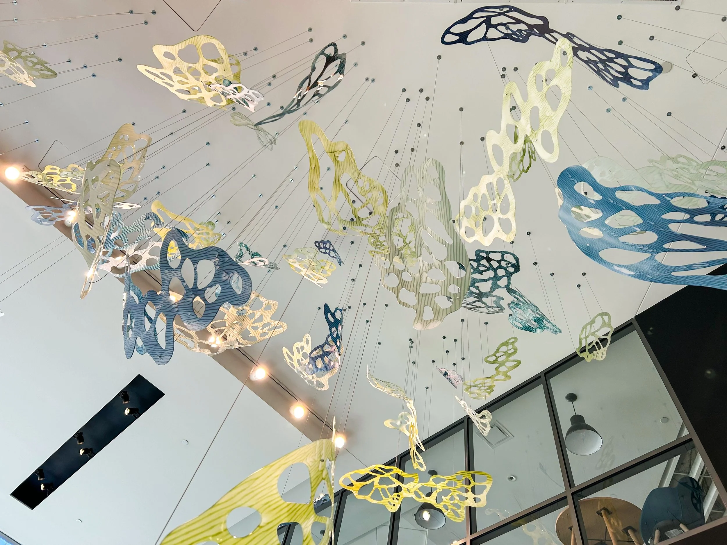 Jane Guthridge | Play of Light