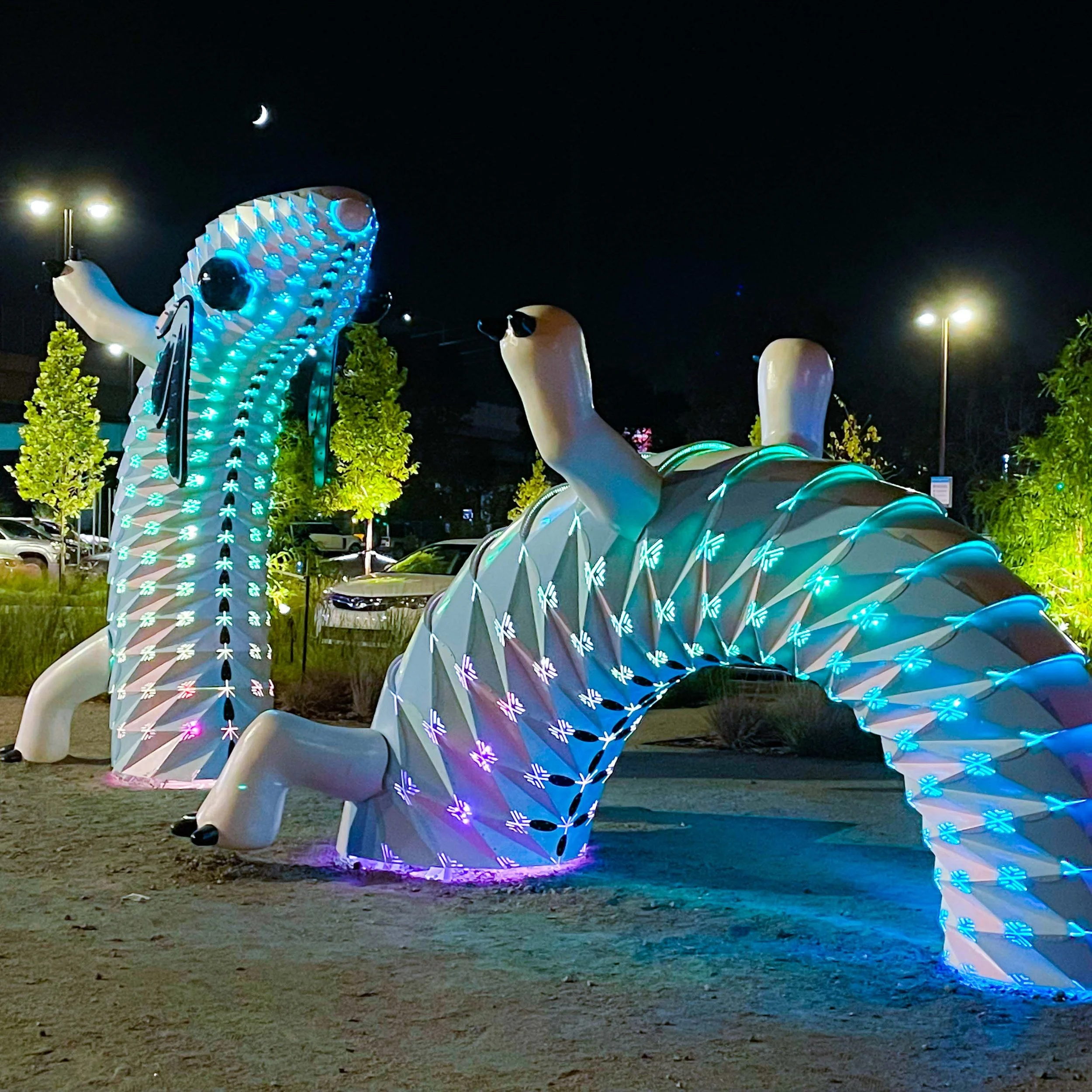 Meow Wolf | Plethodon