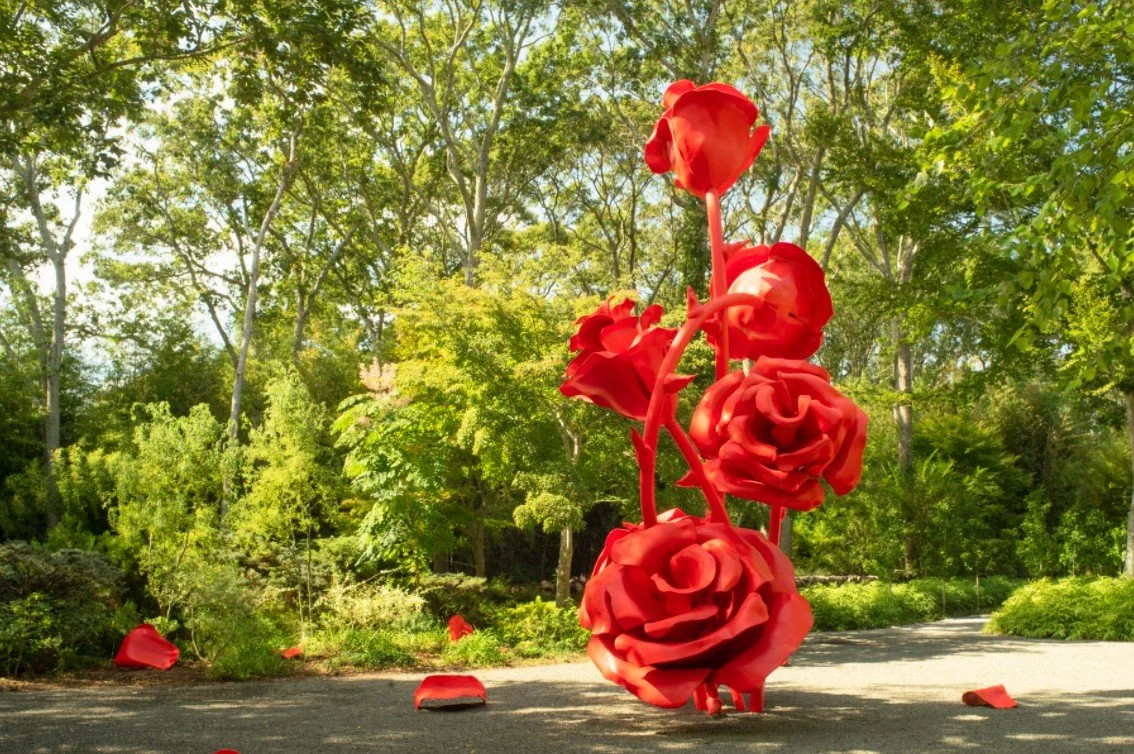 Will Ryman | Roses