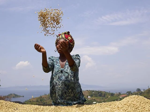 Good Saturday vibes in a cup. ☕️🇨🇩
Photo @vivianesassenstudio 
#congolese 
#womencoffee
#organic
#singleorigin
#madewithlove
#muungano
#kivucoffee
#congocoffee
#drcongo
#blackgold
#lakekivu