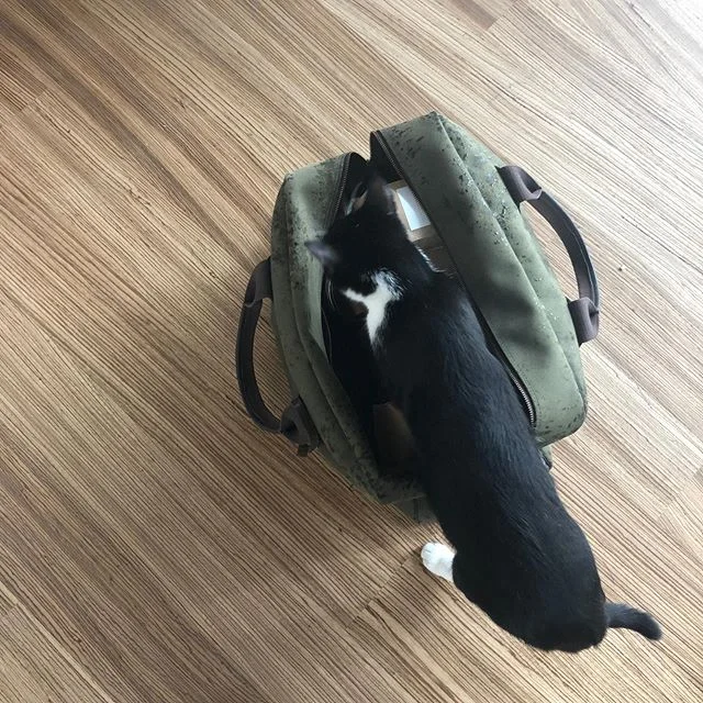 KIVU delivery to @margent_farm. Curiosity will not kill the cat in this instance! 😜☕️
.
#kivucoffee #margentfarm #congolese #roasted #singleorigin #coffee #muungano #womenfarmed #hempfarm #collaboration #drc #rdc #kivulove #thesmellofcoffee