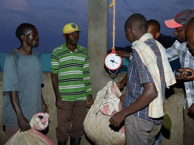 Farmers arriving to the coffee washing stations during the night. @vivianesassenstudio for @kivucoffee #kivucoffee #congo