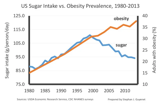 Image from Dr Guyenet of Whole Health Source 