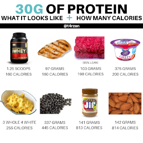 You're not eating as much protein as you think! — Treadaway Training