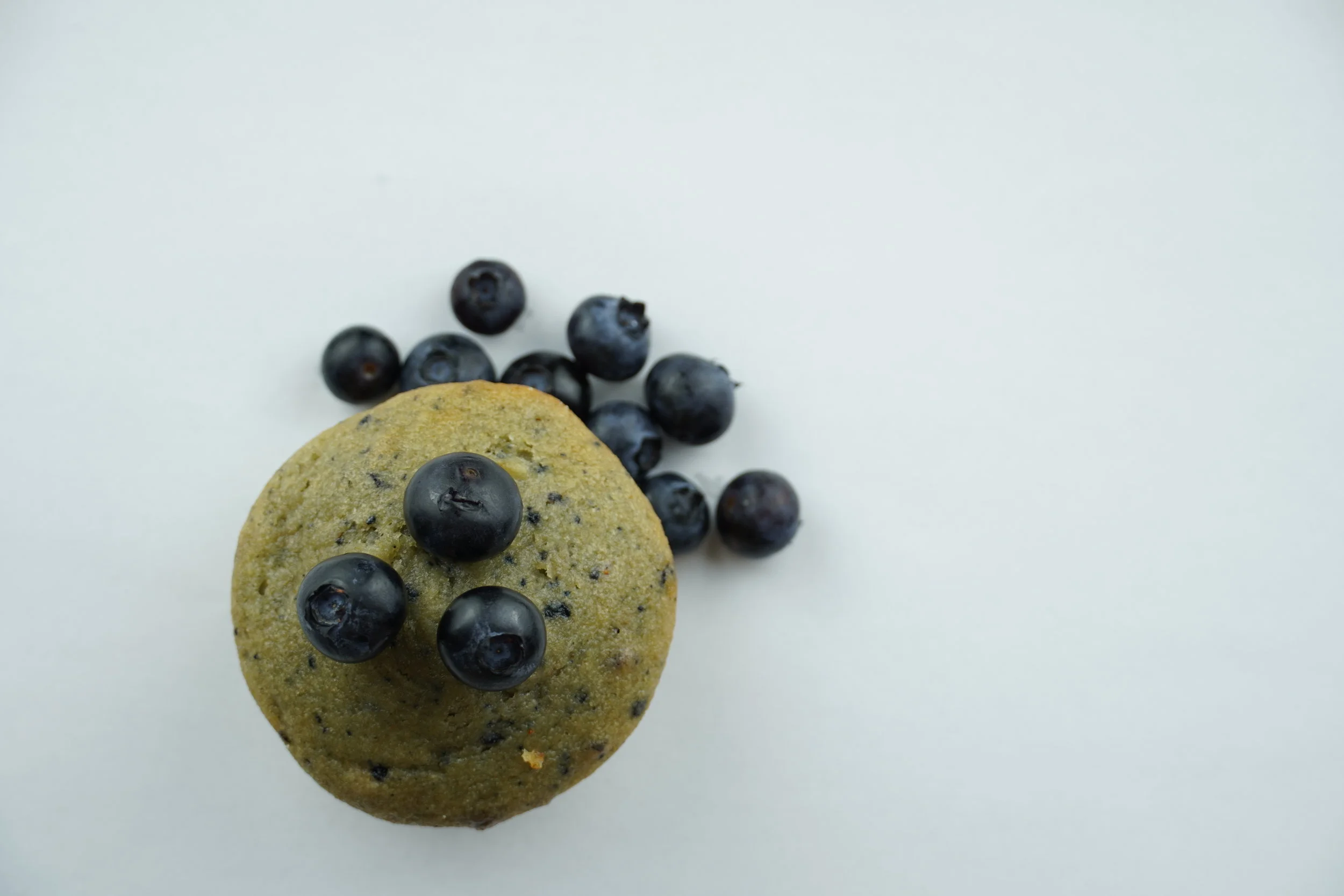 High Protein Muffins