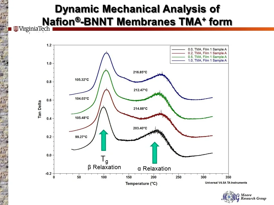 Slide11.JPG