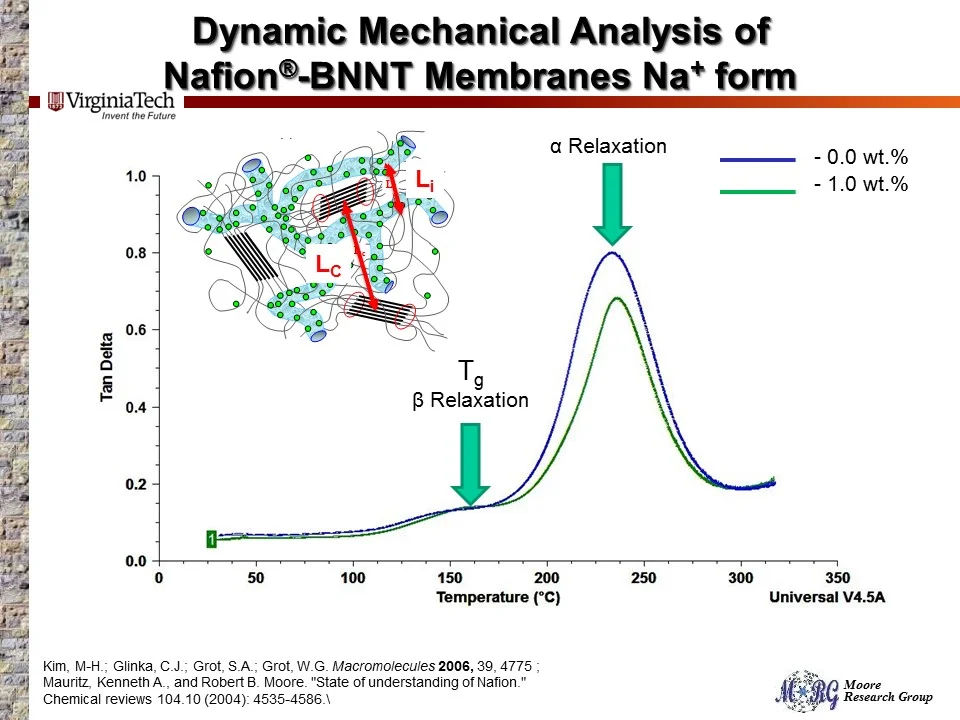 Slide10.JPG