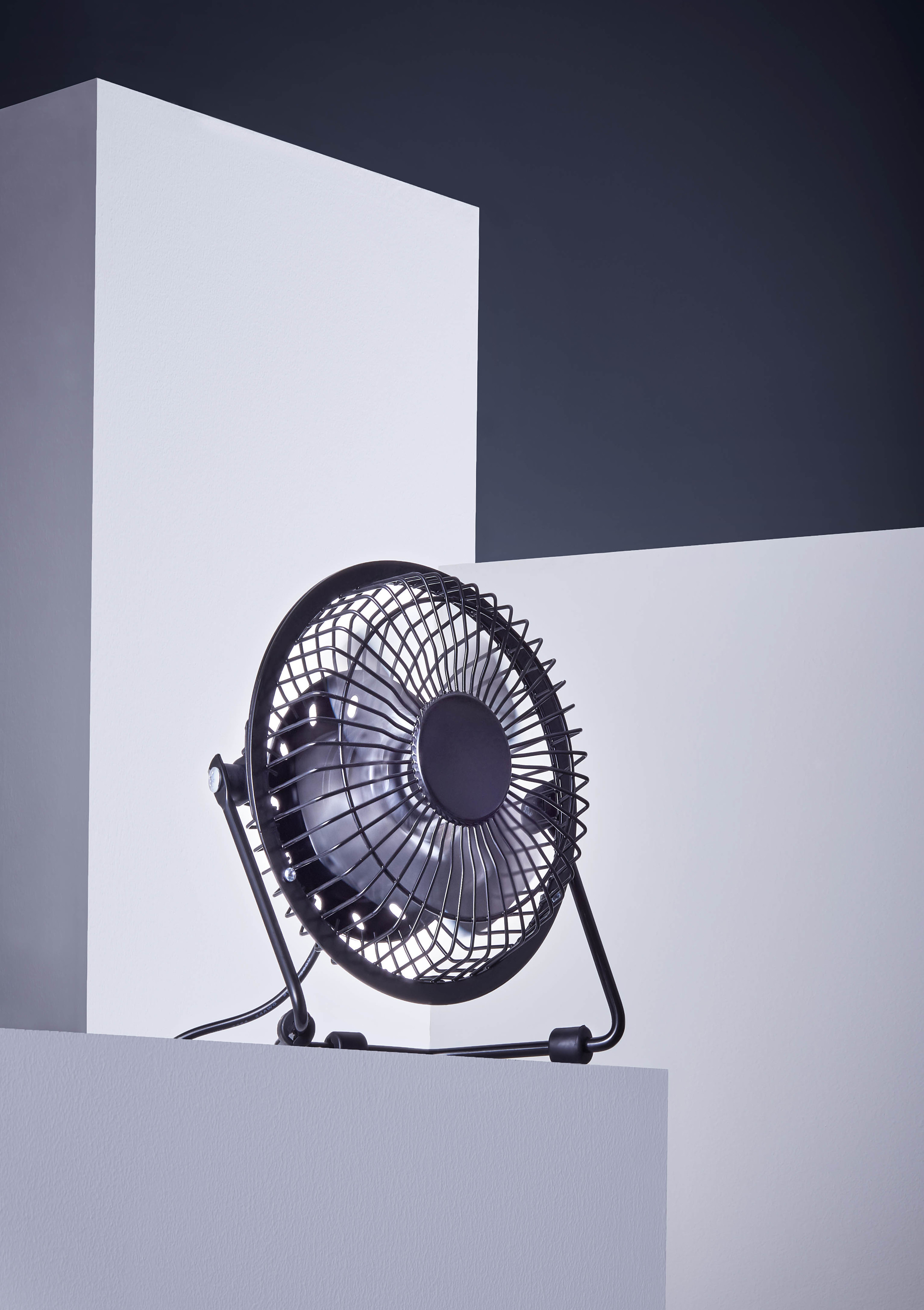 FAN_FINAL.jpg