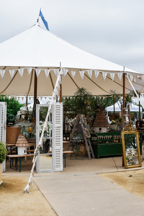 csfrenchflea_spring18-25+(1).jpeg
