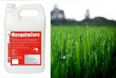 MosquitoCure+and+lawn.jpg