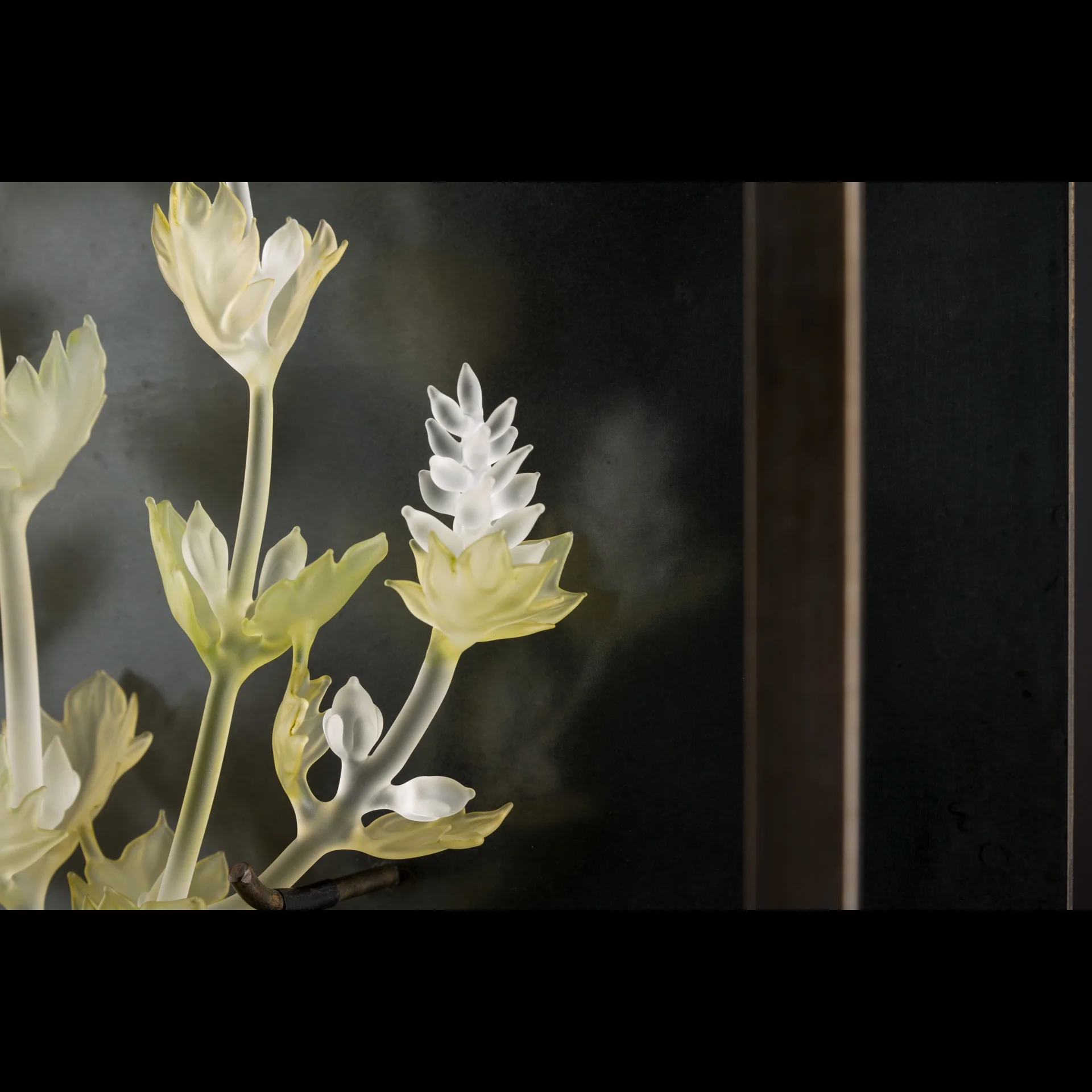 Distilled Insight Detail