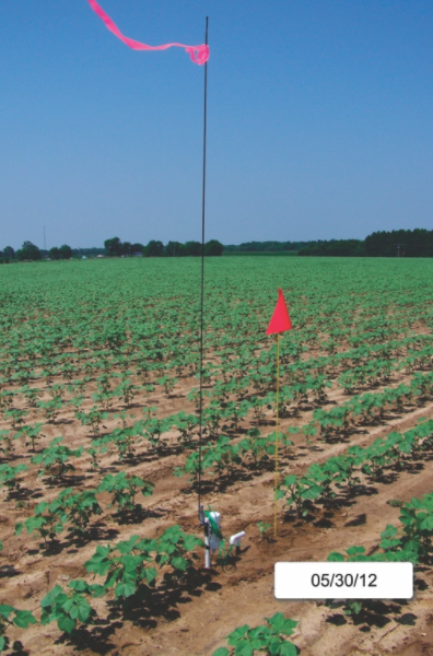 Figure 3. UGA-SSA in Cotton Field. Image credit: Vellidis Group, UGA