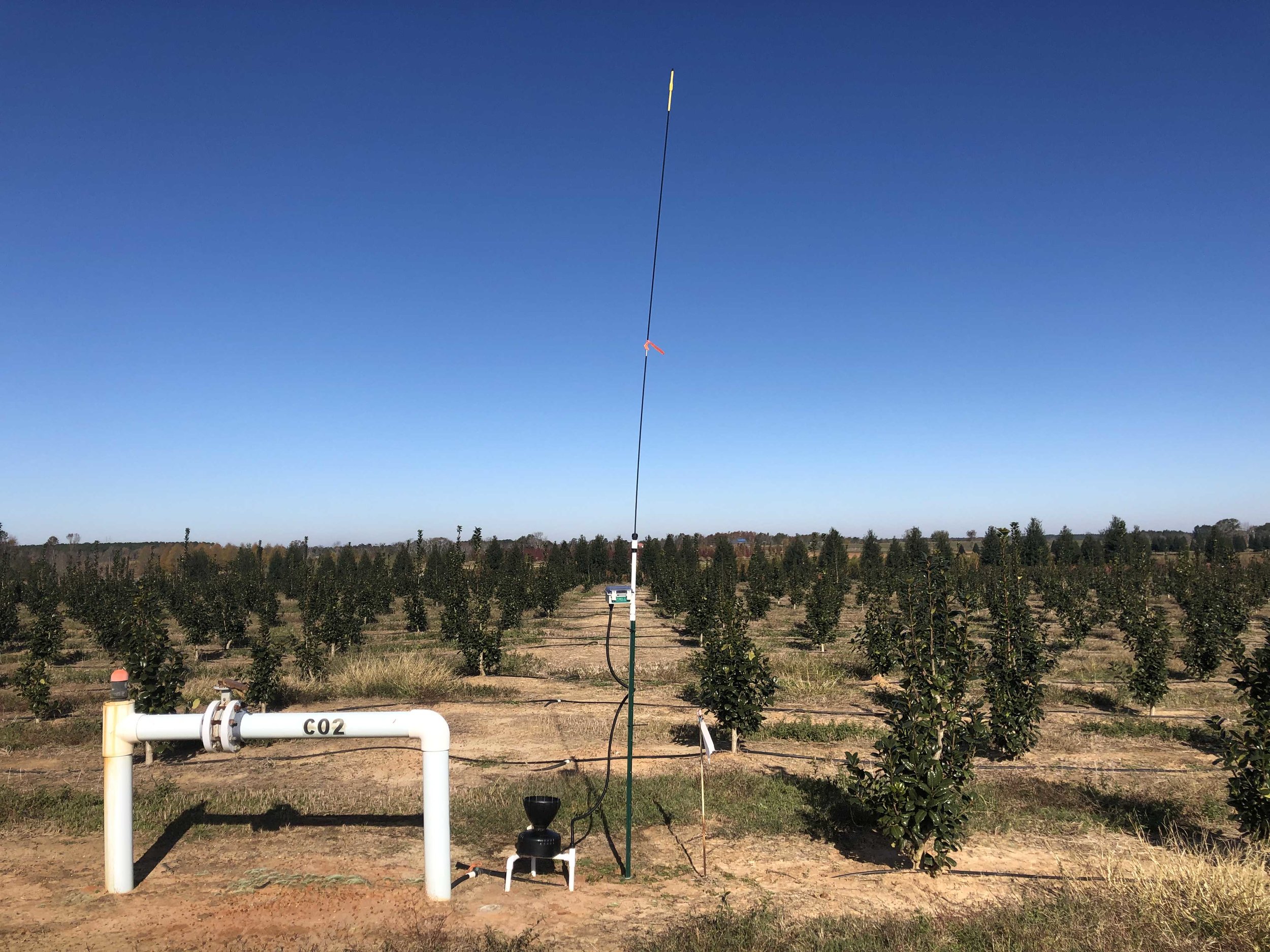 Cellular Base Station with Davis Rain Collector.
