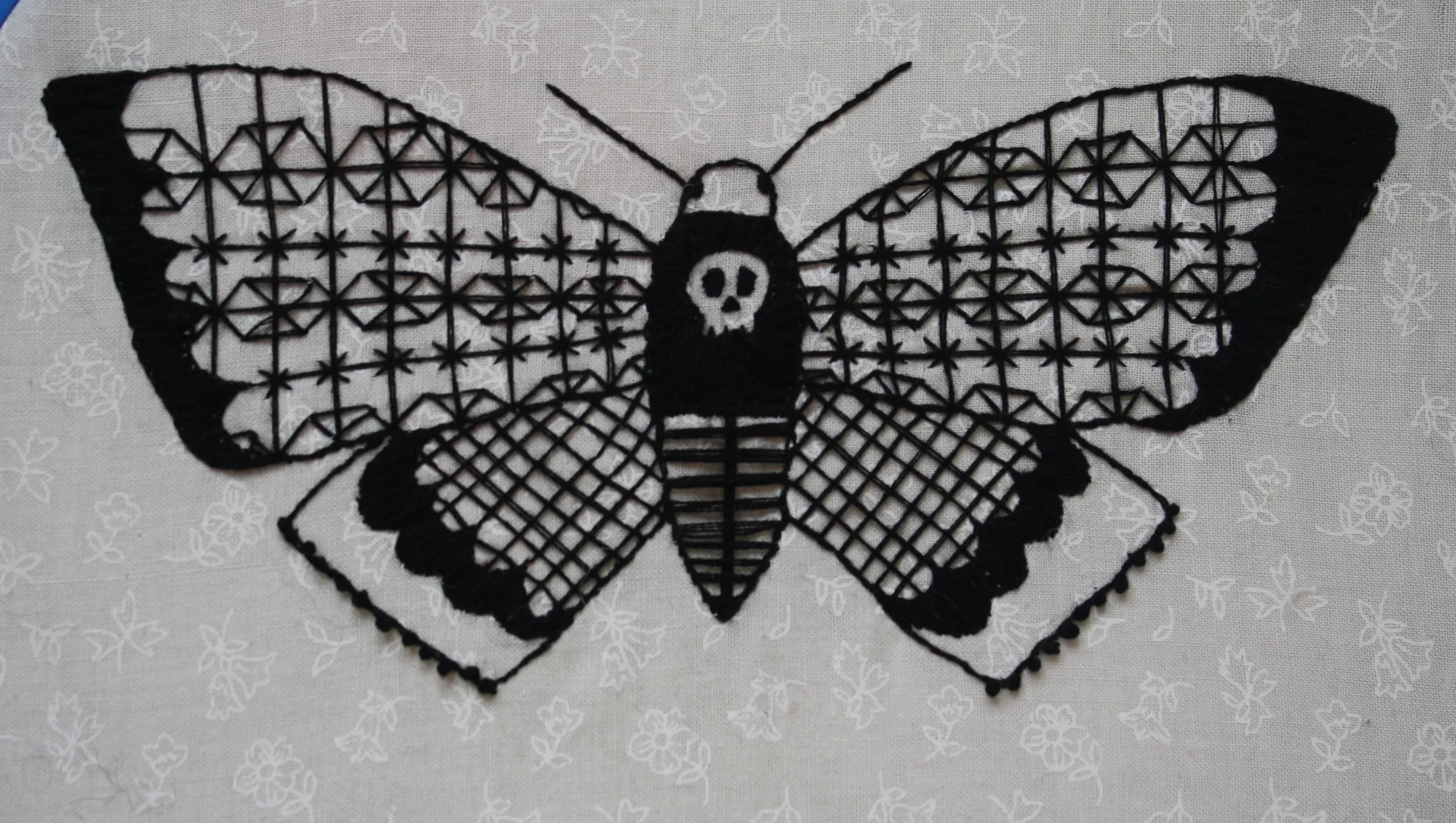 Death's Head Moth