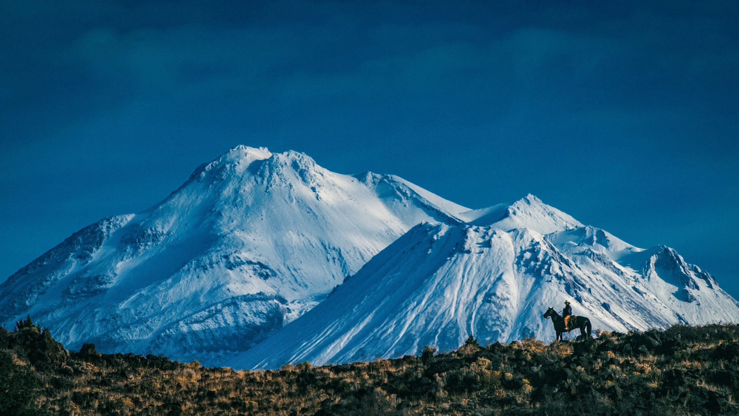 Sequence 03.00_01_13_22.Still001 copy.jpg