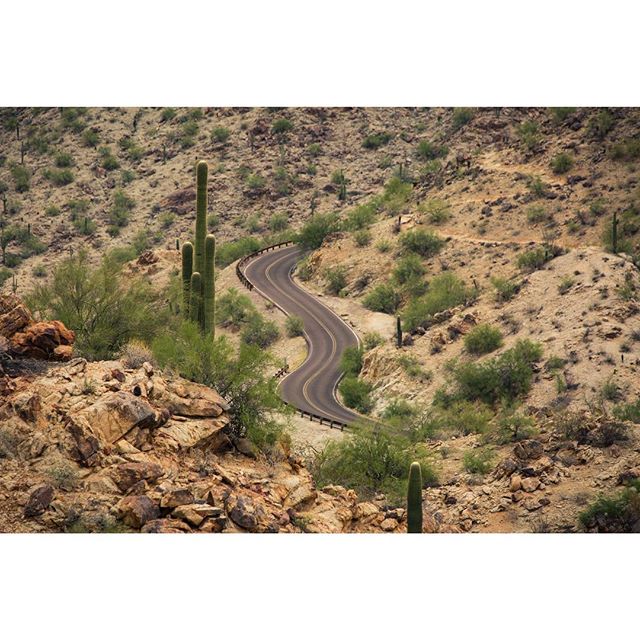 Desert roads in South Mountain Park, Arizona. .
.
.
.
.
#notesfromtheroad #nationalparks #canon5d3 #canon #igersoftheday #photography #az #shoot #arizona #southmountain #cinematography #director #dırectorofphotography #cinematography #desertlife #tra