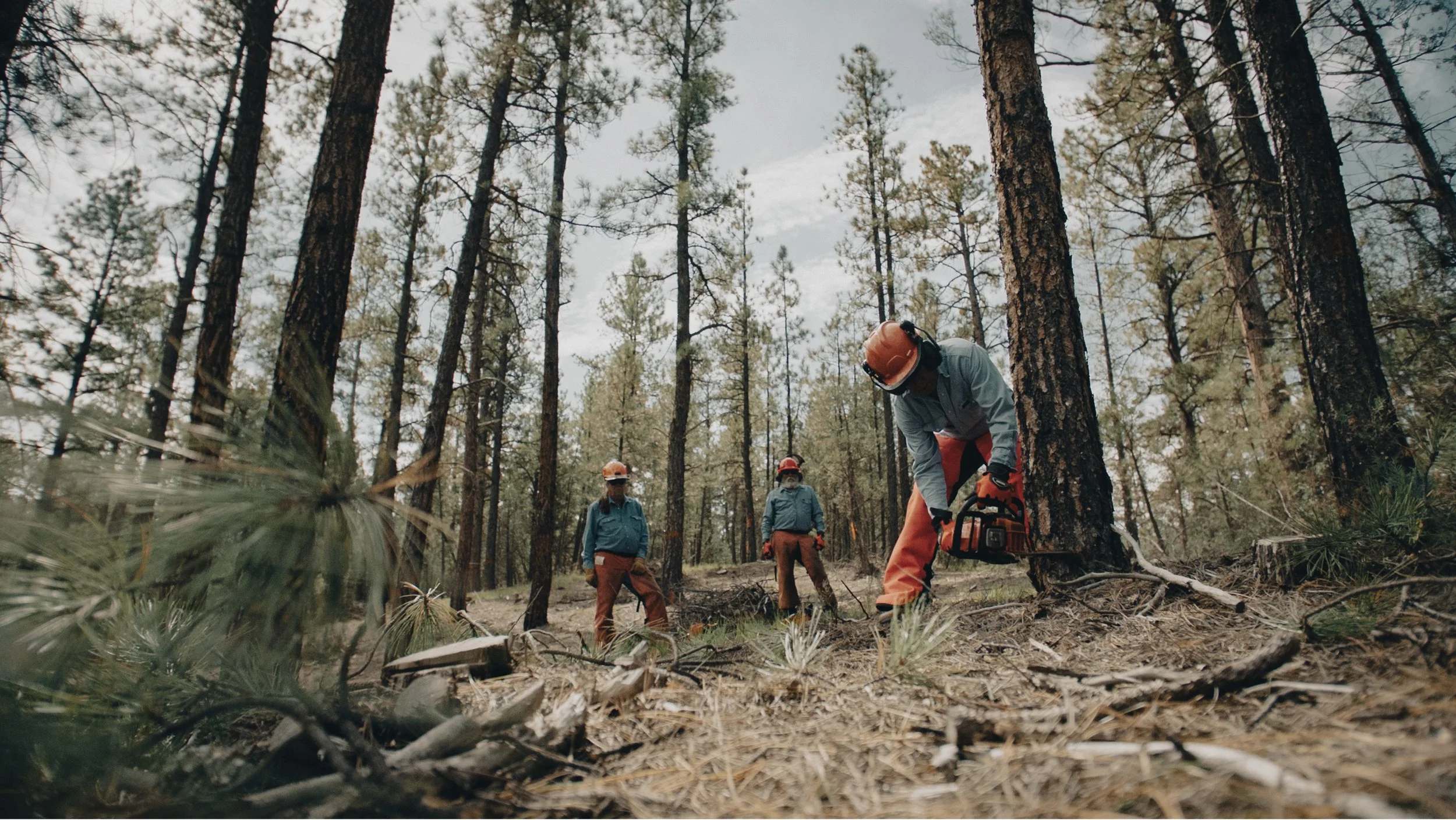 Screen Shot 2022-09-13 at 8.54.34 PM copy.jpg