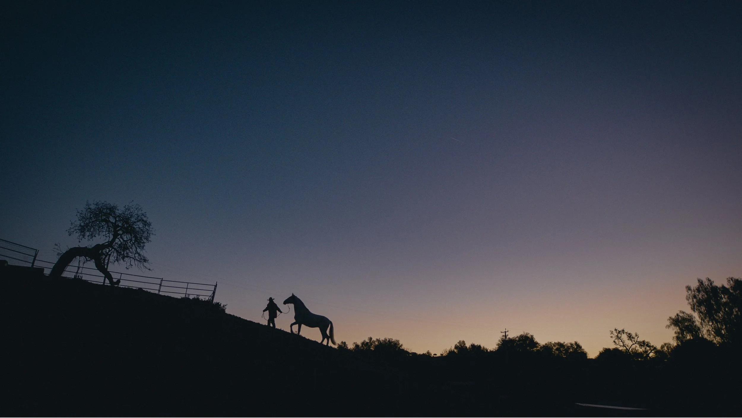 Screen Shot 2023-05-05 at 12.38.47 PM copy.jpg