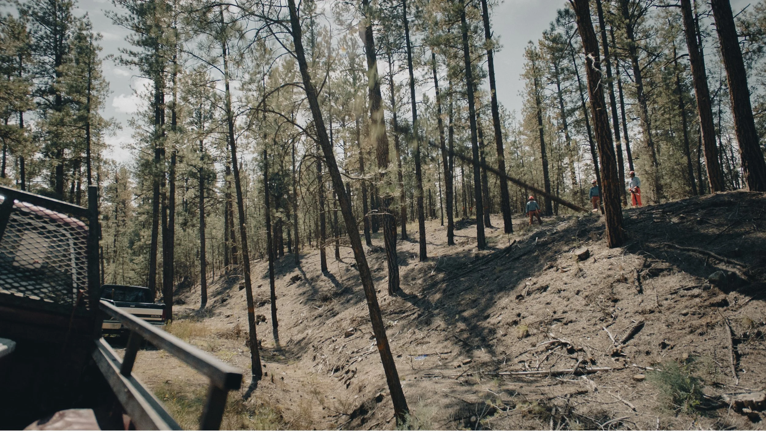 Screen Shot 2022-09-13 at 8.57.10 PM copy.jpg