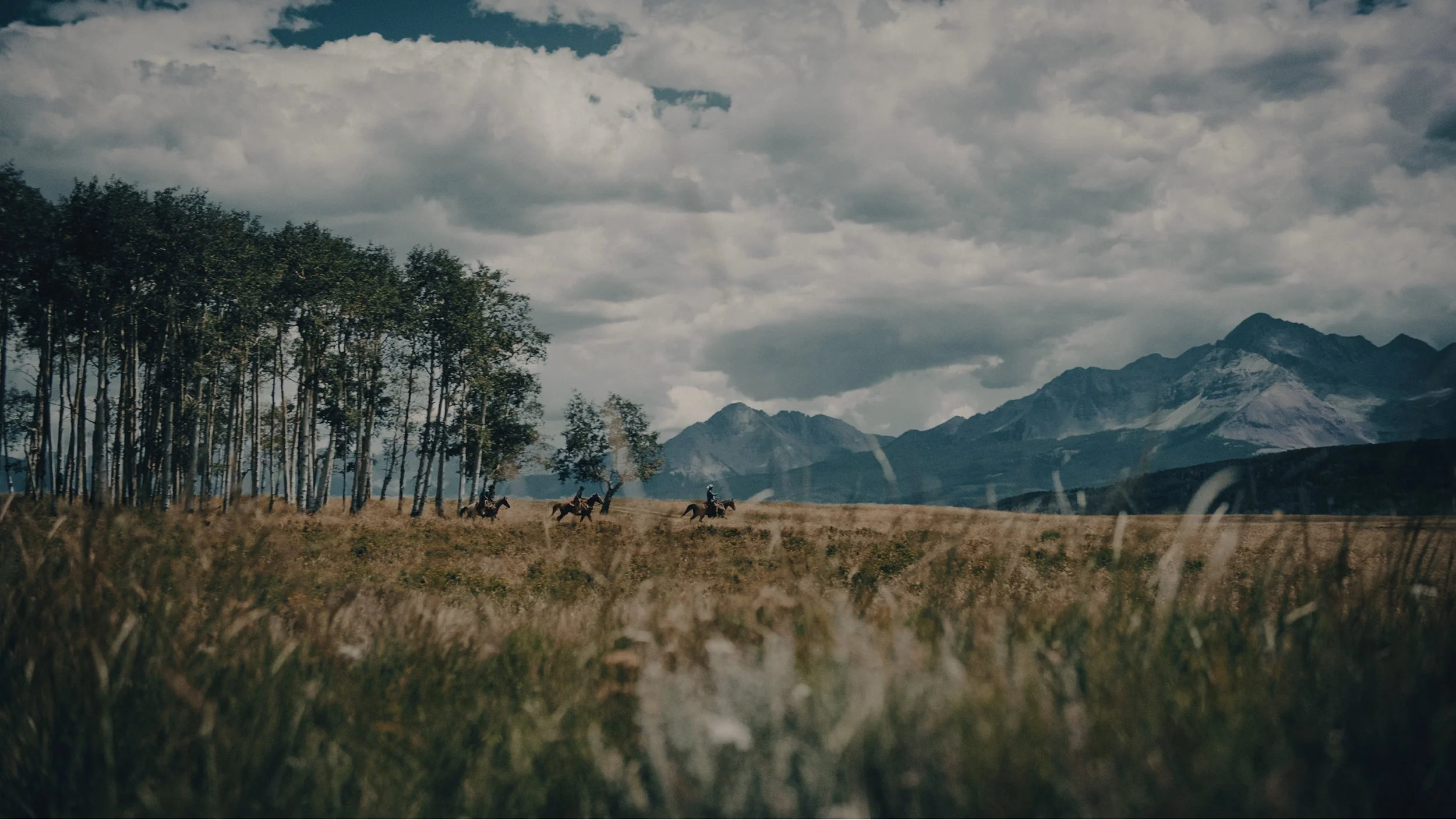 Screen Shot 2022-08-16 at 12.11.35 AM copy.jpg