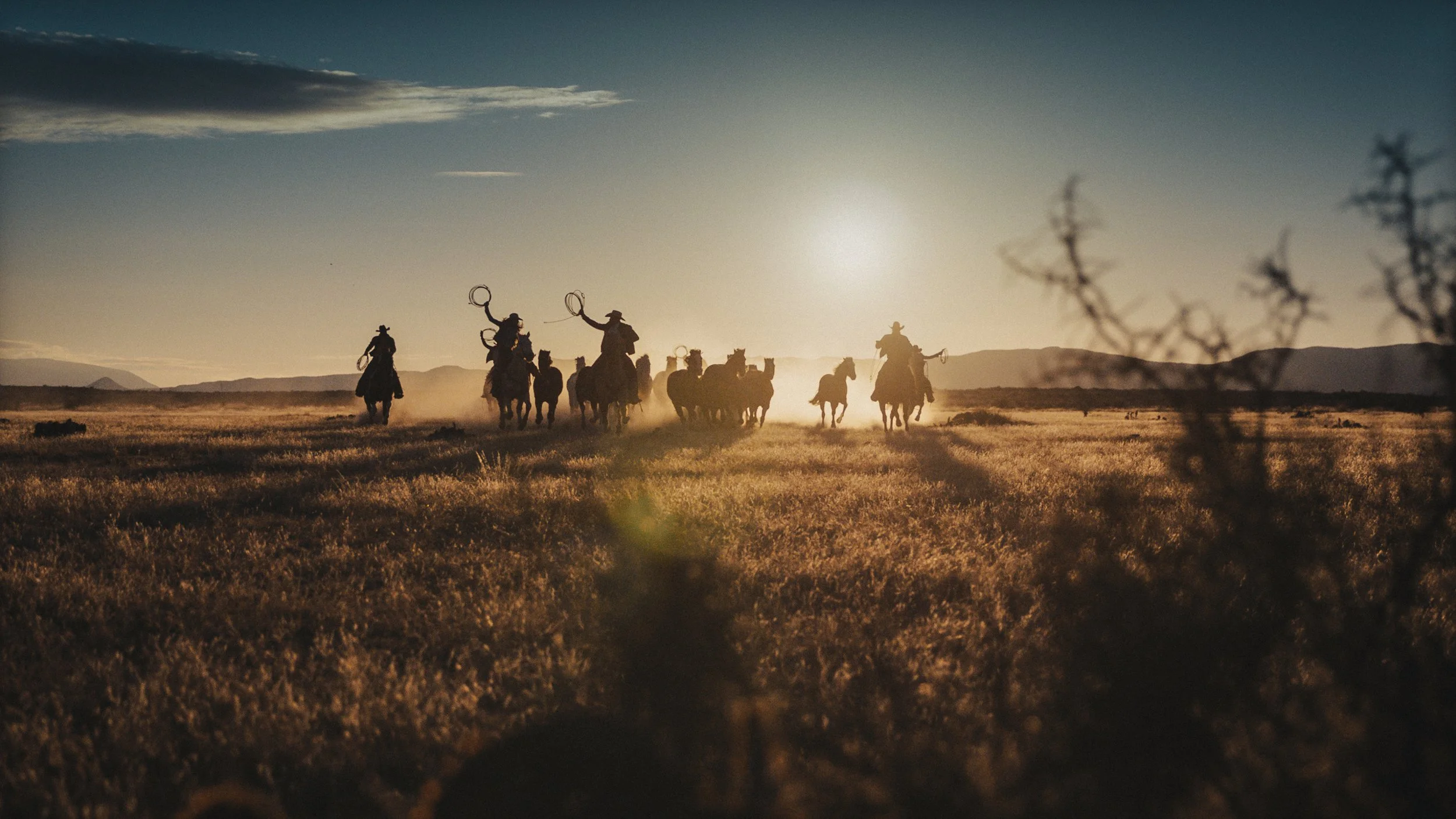 Screen Shot 2021-12-24 at 5.20.33 PM copy.jpg