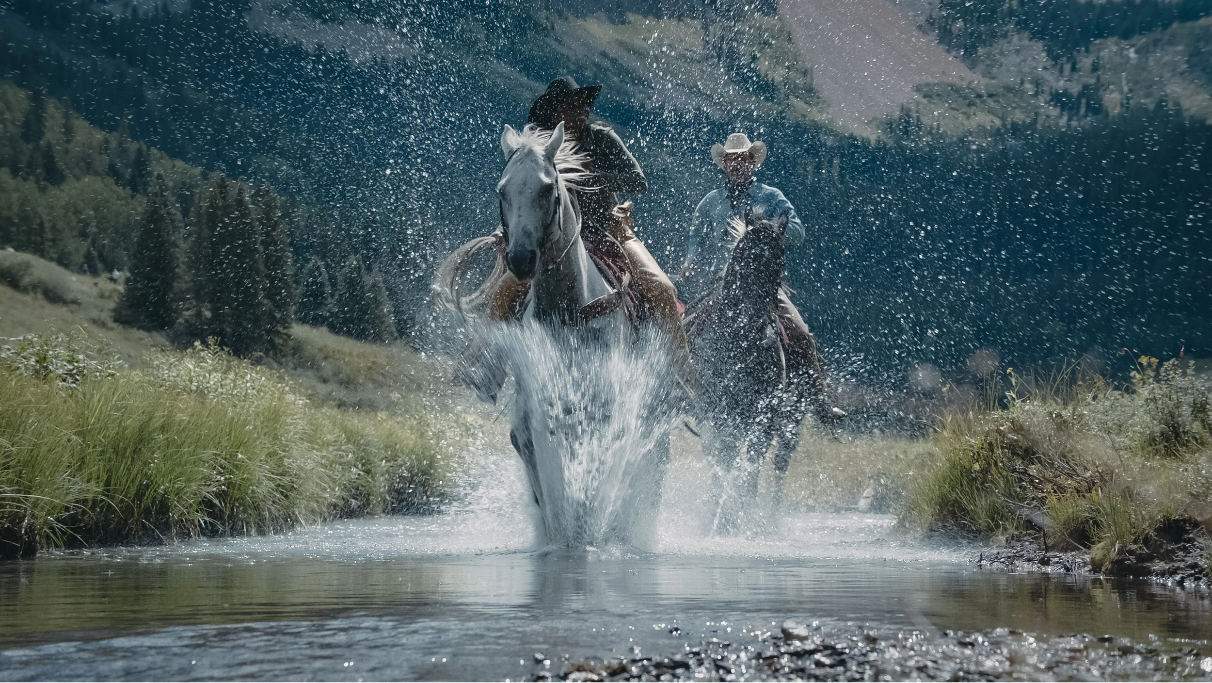 Screen Shot 2022-08-17 at 11.51.56 AM copy.jpg