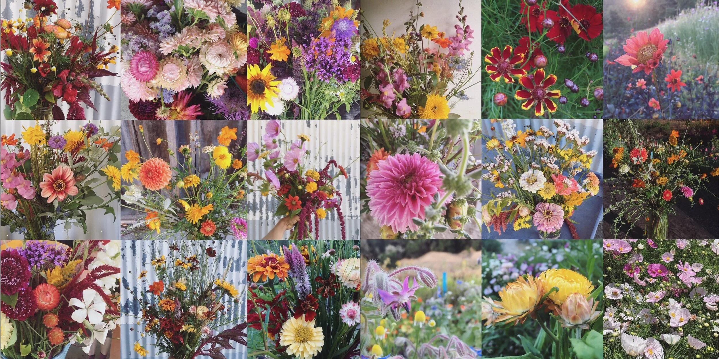 Looking back on a fabulous summer of flowers!