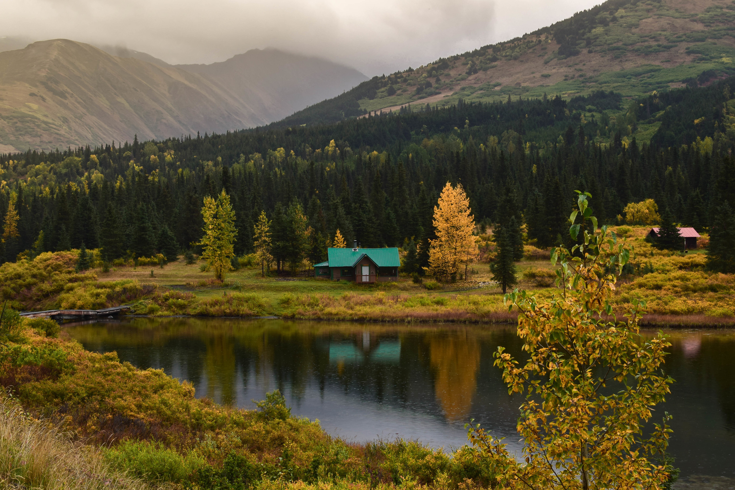 alaska green roof (1 of 1).jpg