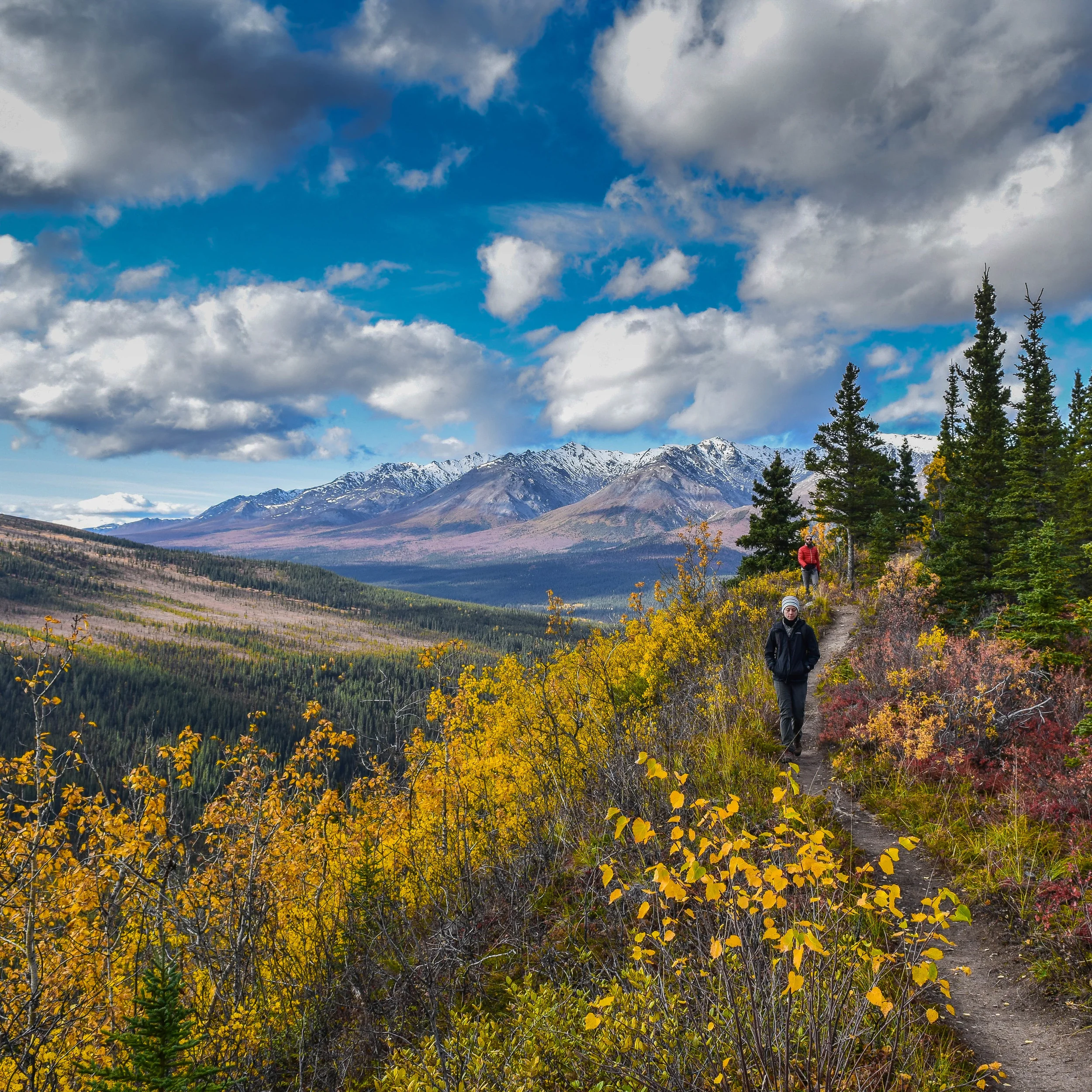 alaska hike1 (1 of 1).jpg